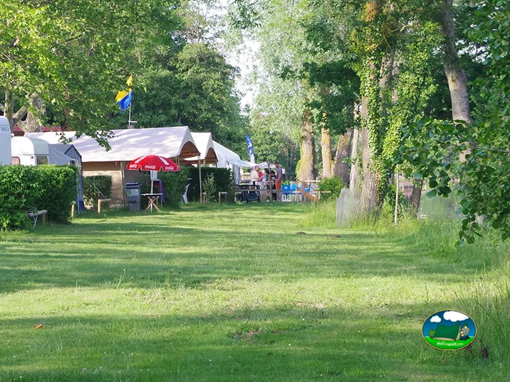 Pradera para parcelas