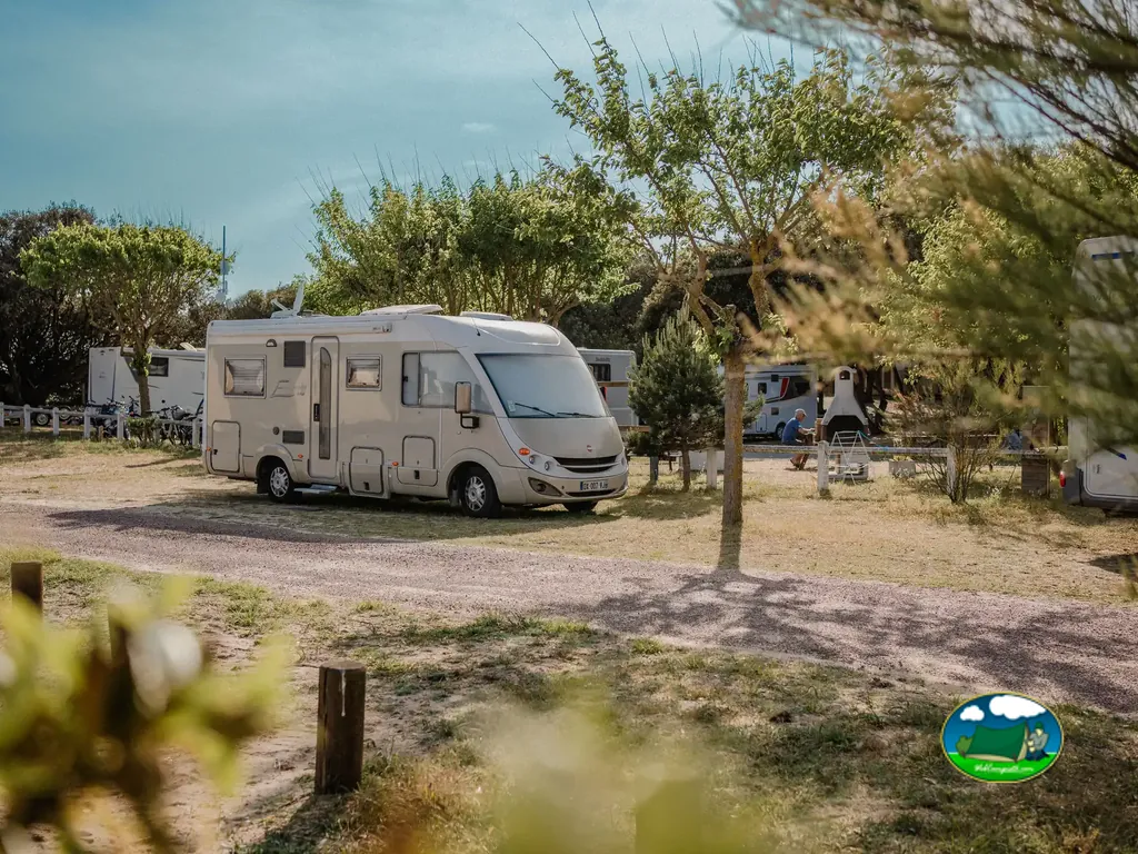 autocaravana entre árboles