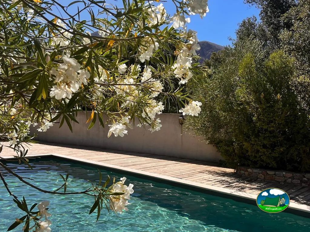 Piscina entre árboles