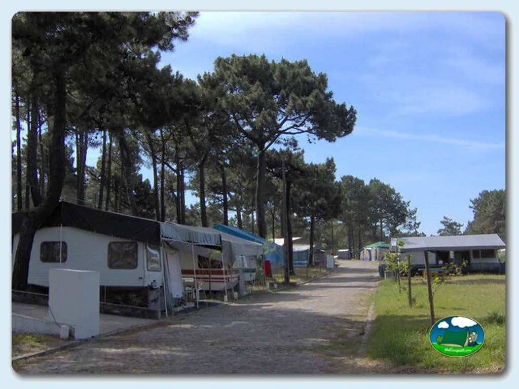 Parcelas con mobil-homes entre pinos del Camping Inatel, Cabedelo (Viana Do Castelo)