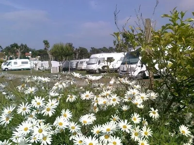 Parcela con mobil-home y flores silvestres del Camping Fão, Fão (Braga)