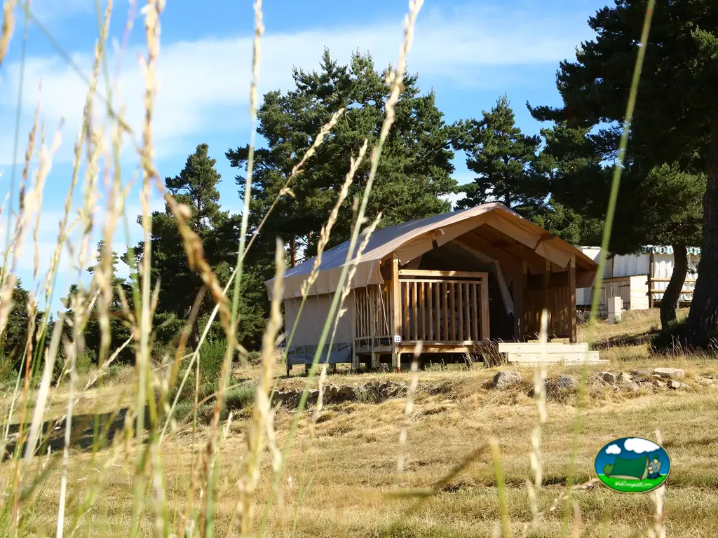 Glamping entre pinos