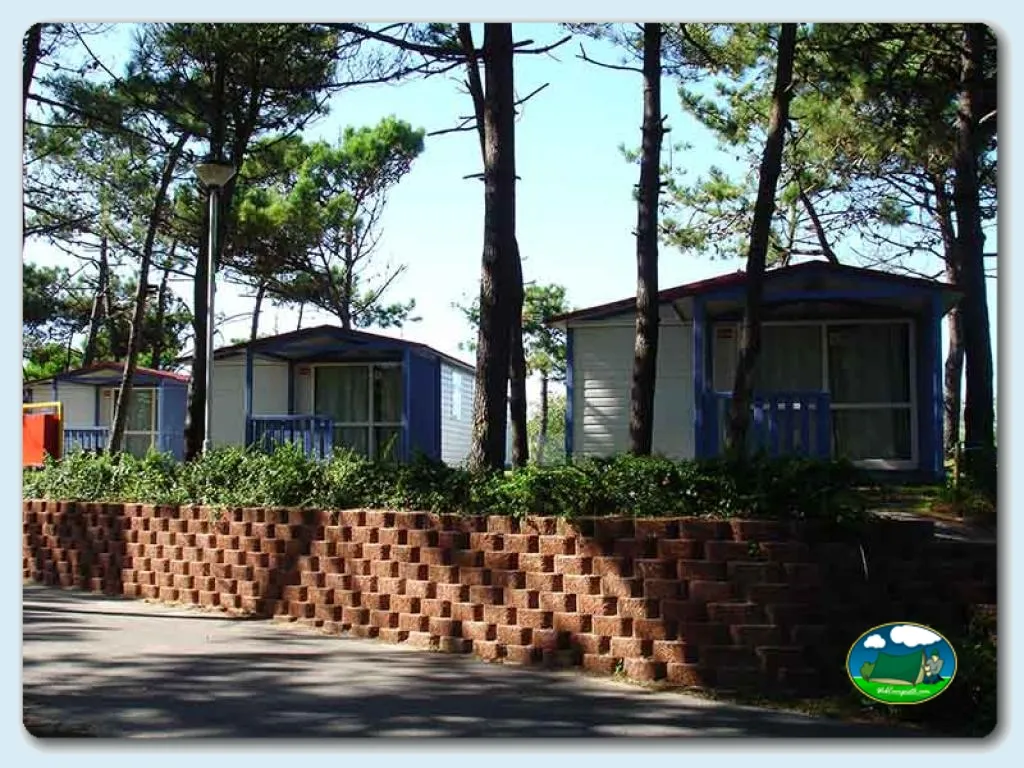 Mobil-home entre pinos del Camping Orbitur Rio Alto, Póvoa de Varzim (Porto)