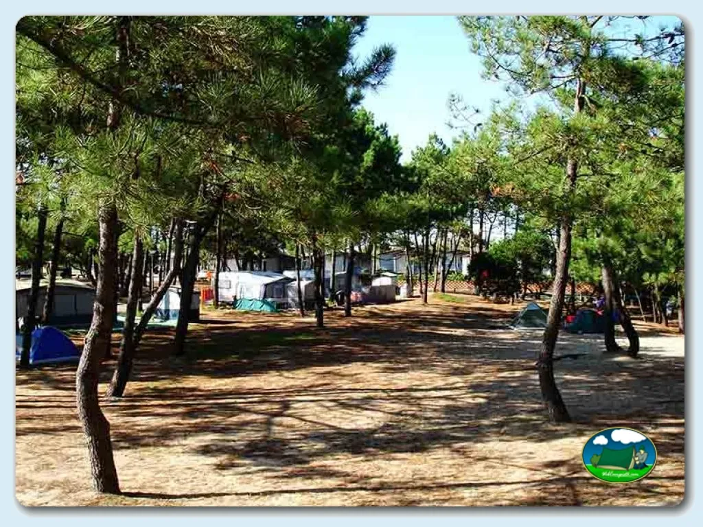 Parcela entre pinos con tienda de acampada del Camping Orbitur Rio Alto, Póvoa de Varzim (Porto)