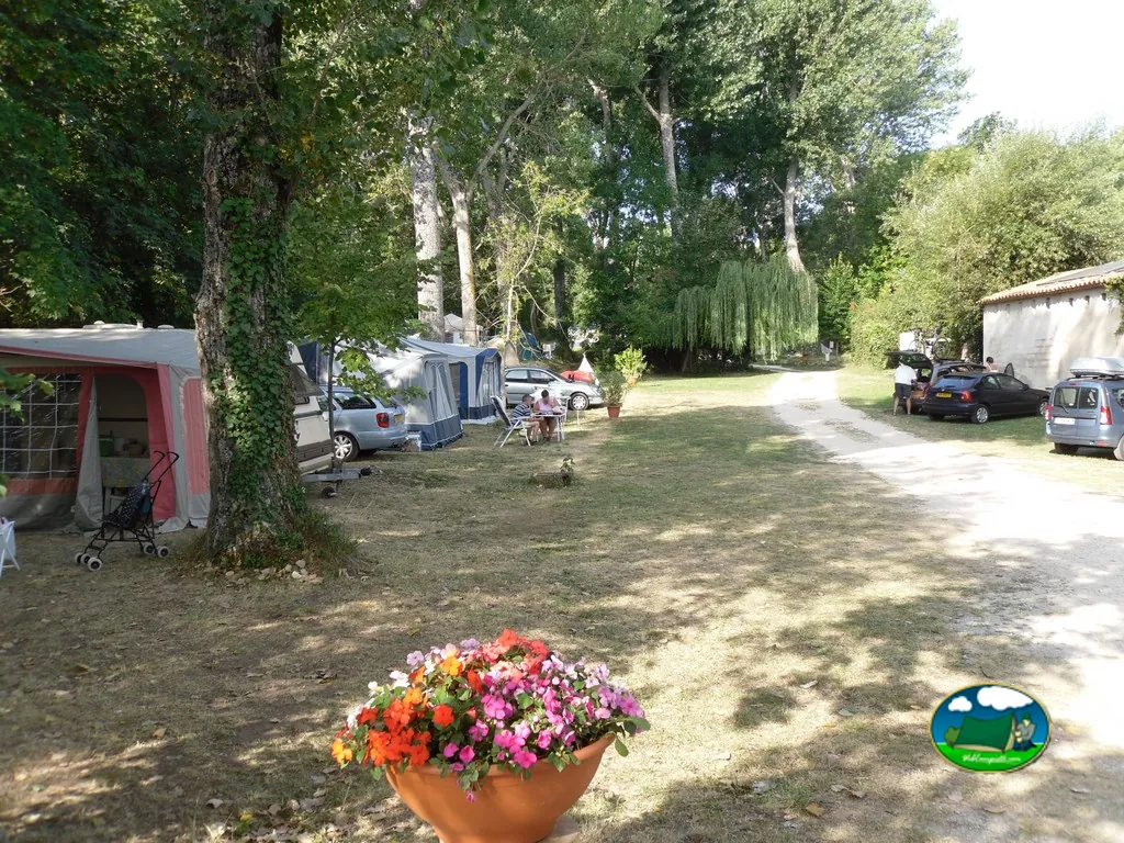 parcelas con tiendas y flores