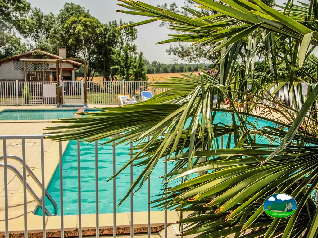 piscina entre palmeras