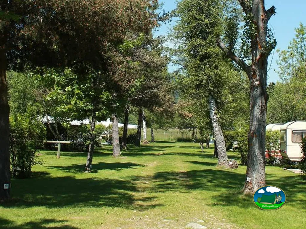 Parcelas cubiertas de césped