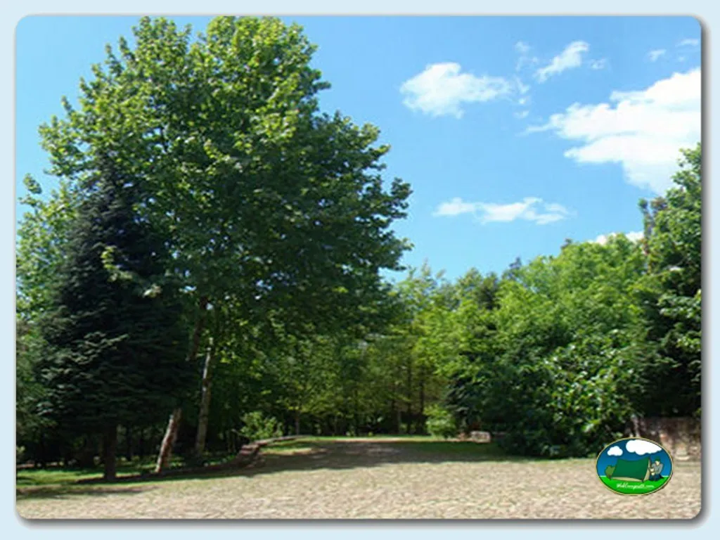 Parcela arbolada con entorno natural del Camping Ave, Azevedo (Porto)