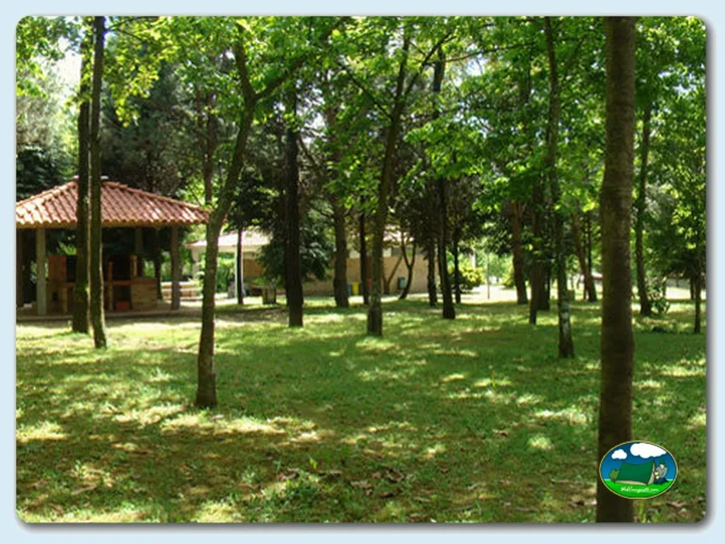 Parcela arbolada con cabaña del Camping Ave, Azevedo (Porto)