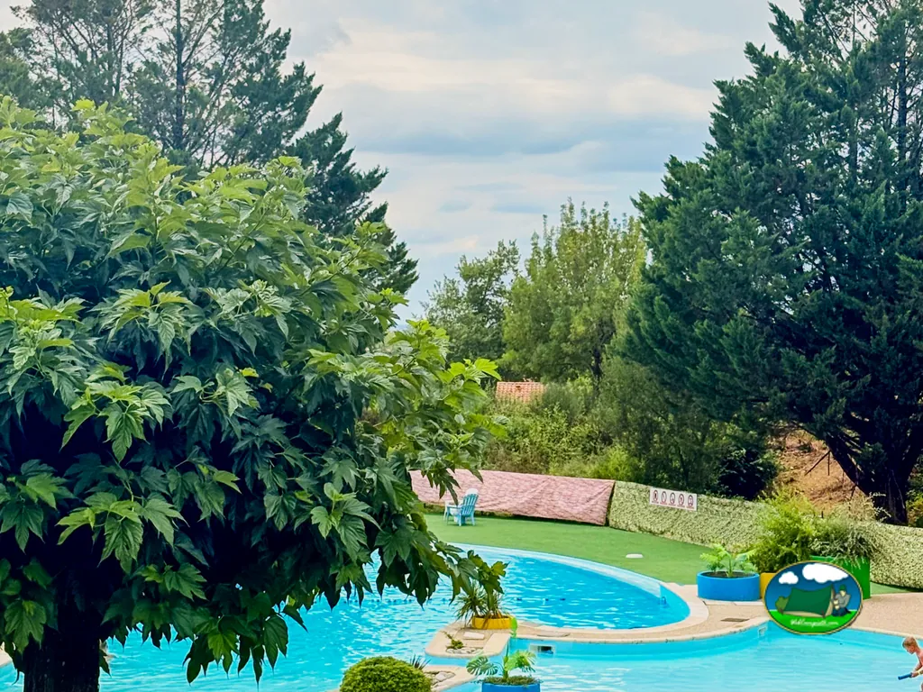 Piscina entre vegetación