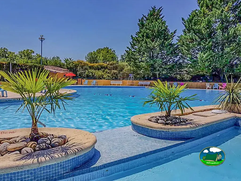 piscina entre palmeras