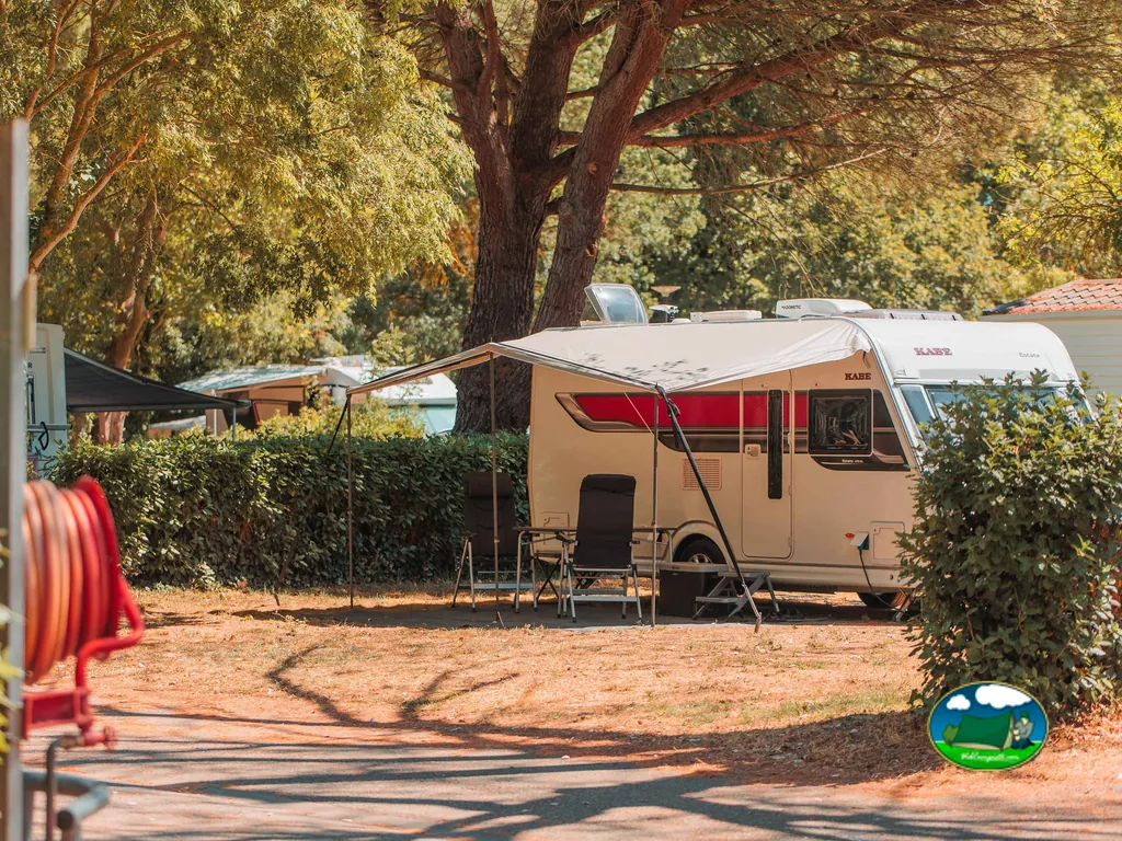 autocaravana bajo árboles