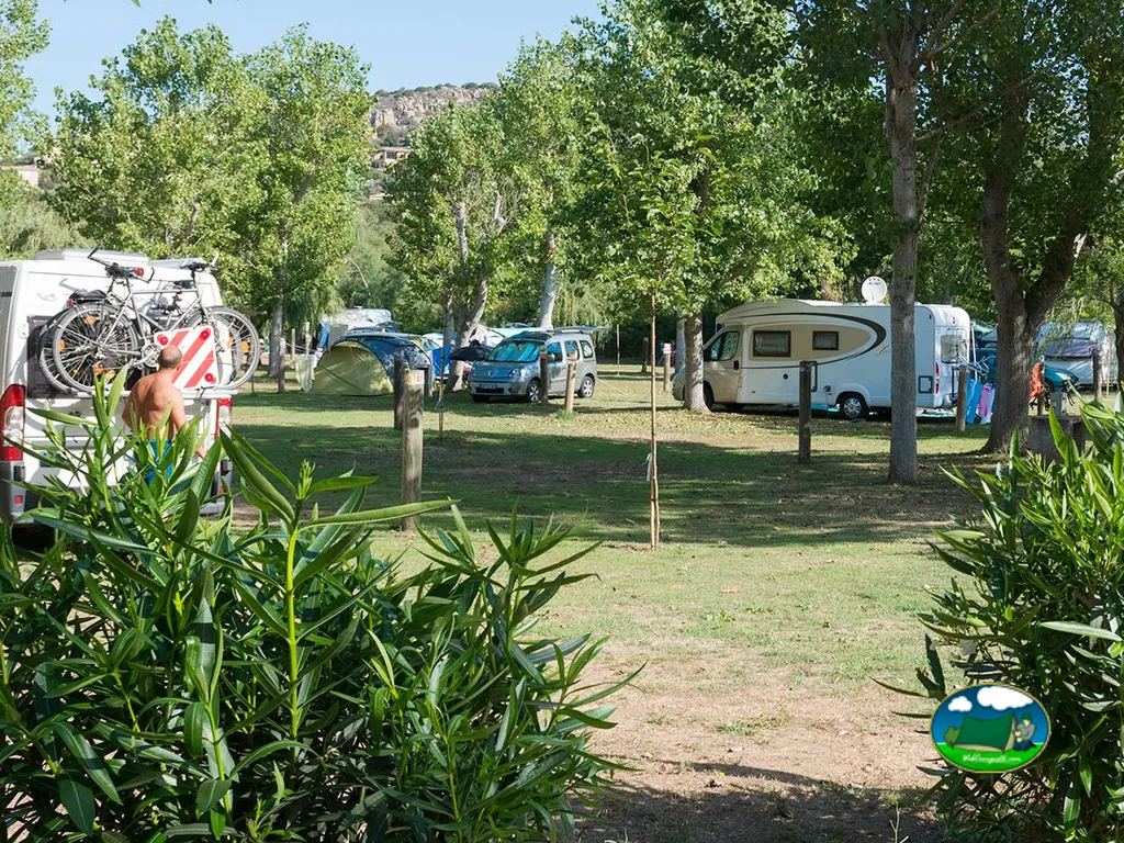 Autocaravanas bajo arbolado