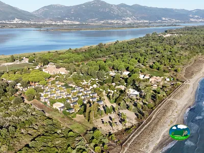 chalets entre pinos junto al mar