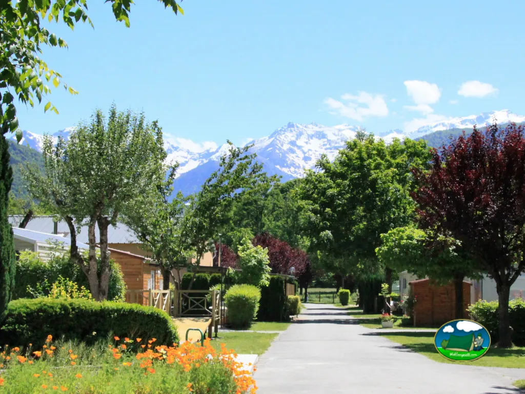 camino arbolado con montañas nevadas
