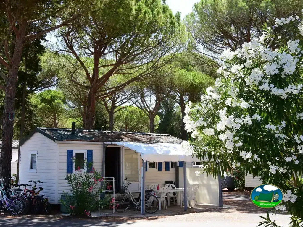 casa móvil bajo pinos