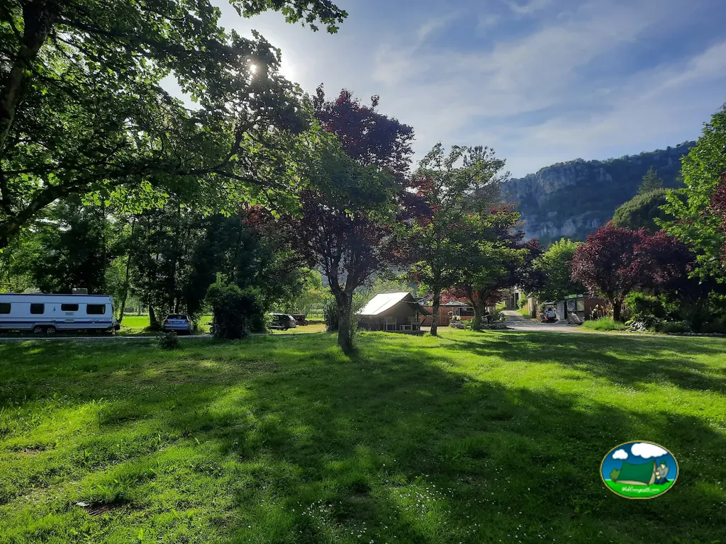Pradera sombreada entre árboles