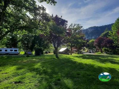 Pradera sombreada entre árboles