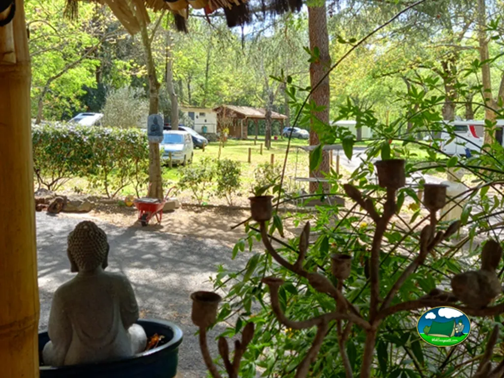 terraza entre árboles