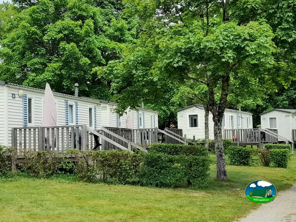 casas móviles entre árboles