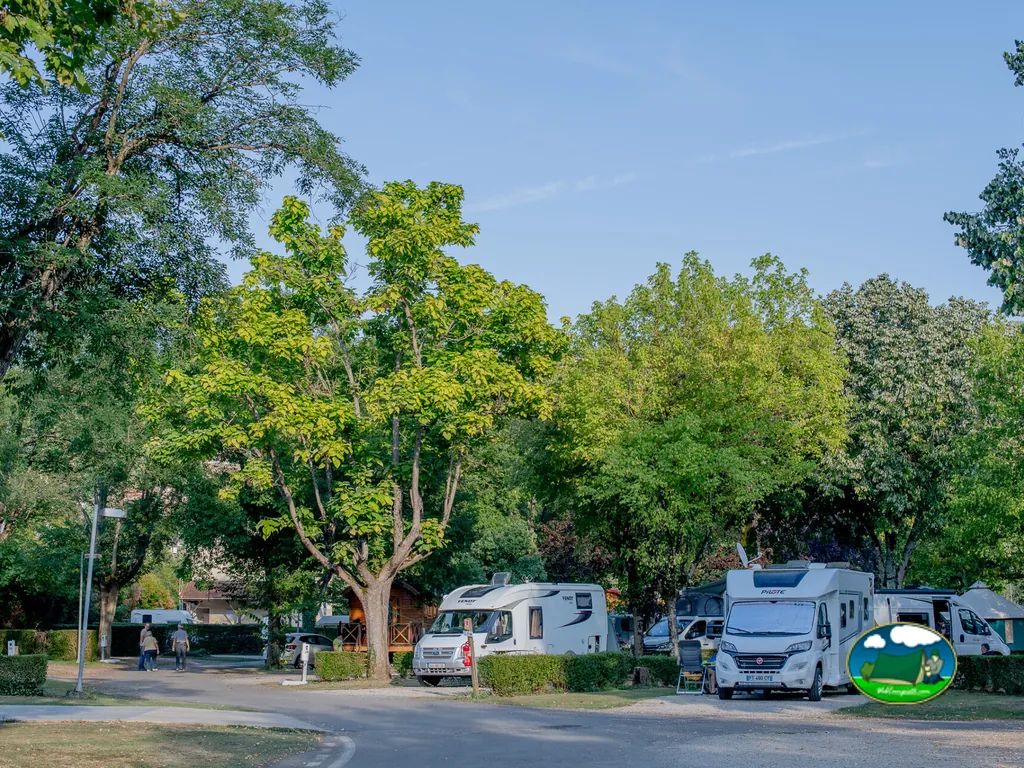 autocaravanas bajo árboles