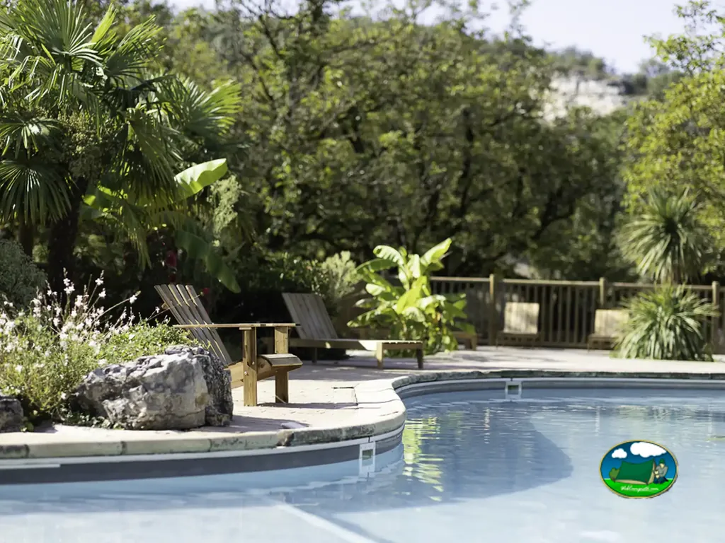 piscina junto a vegetación