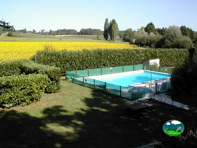 piscina junto a campo de girasoles