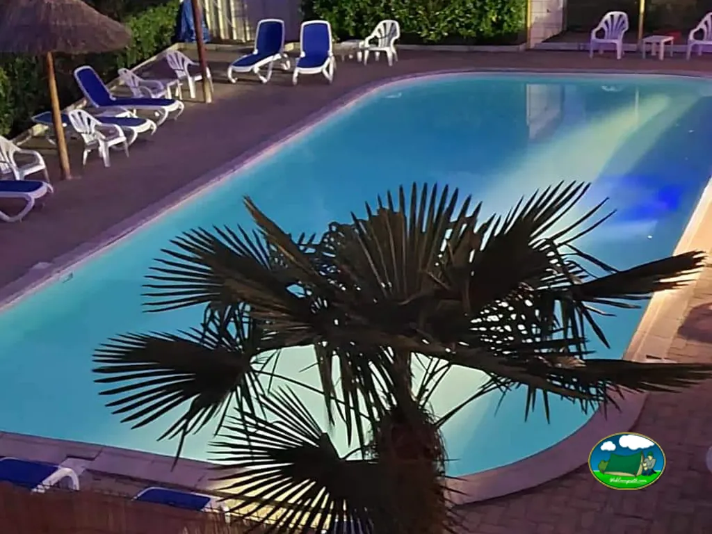 Piscina iluminada entre palmeras