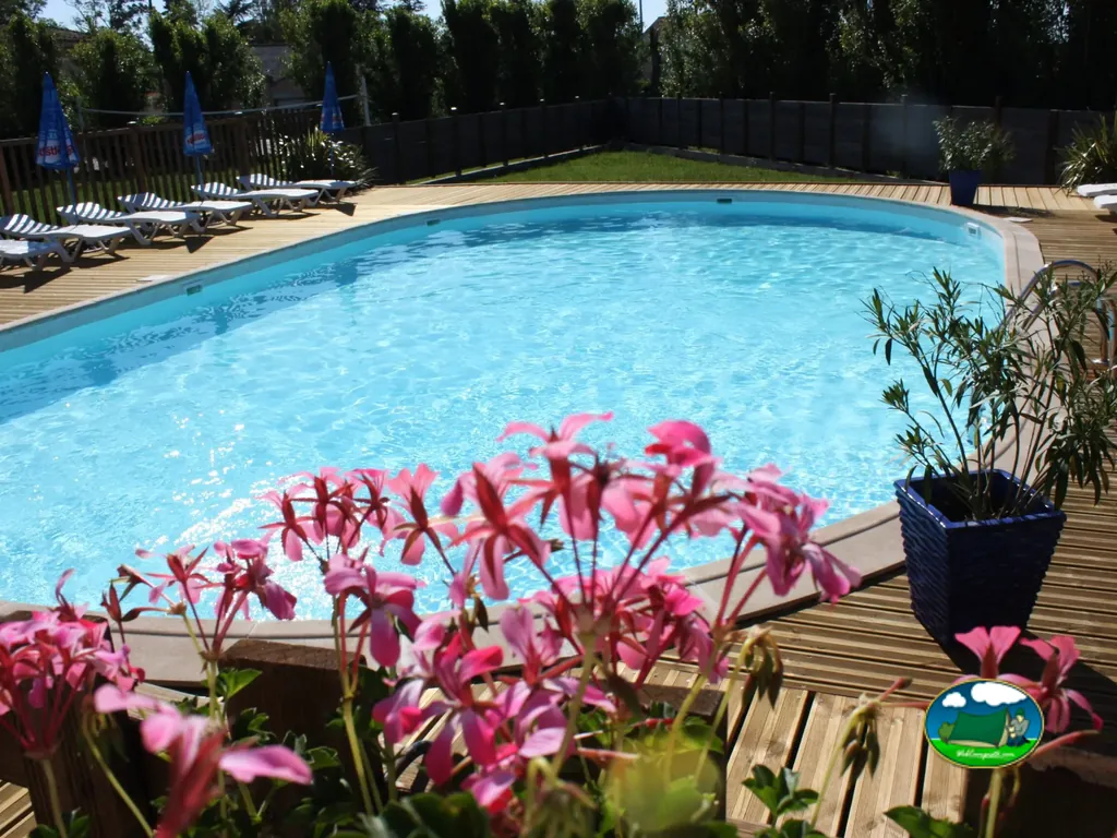 piscina con flores rosas