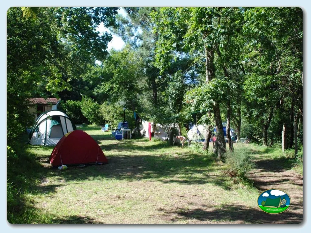 Parcela con tienda de acampada entre árboles del Camping Convívio, Candemil (Viana Do Castelo)