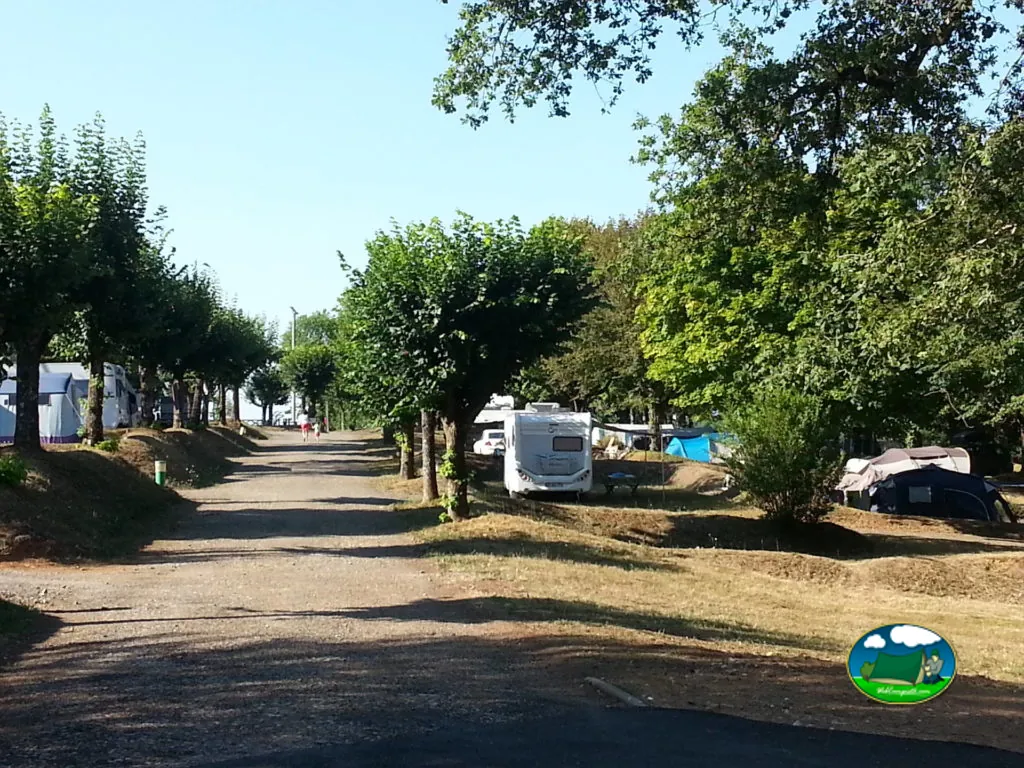 Avenida sombreada con parcelas