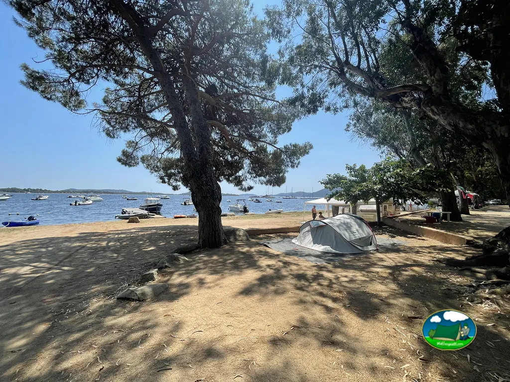 Parcelas bajo los pinos de Camping La Baie des Voiles, Porto-Vecchio
