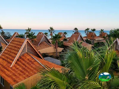 Tejados tropicales frente al mar
