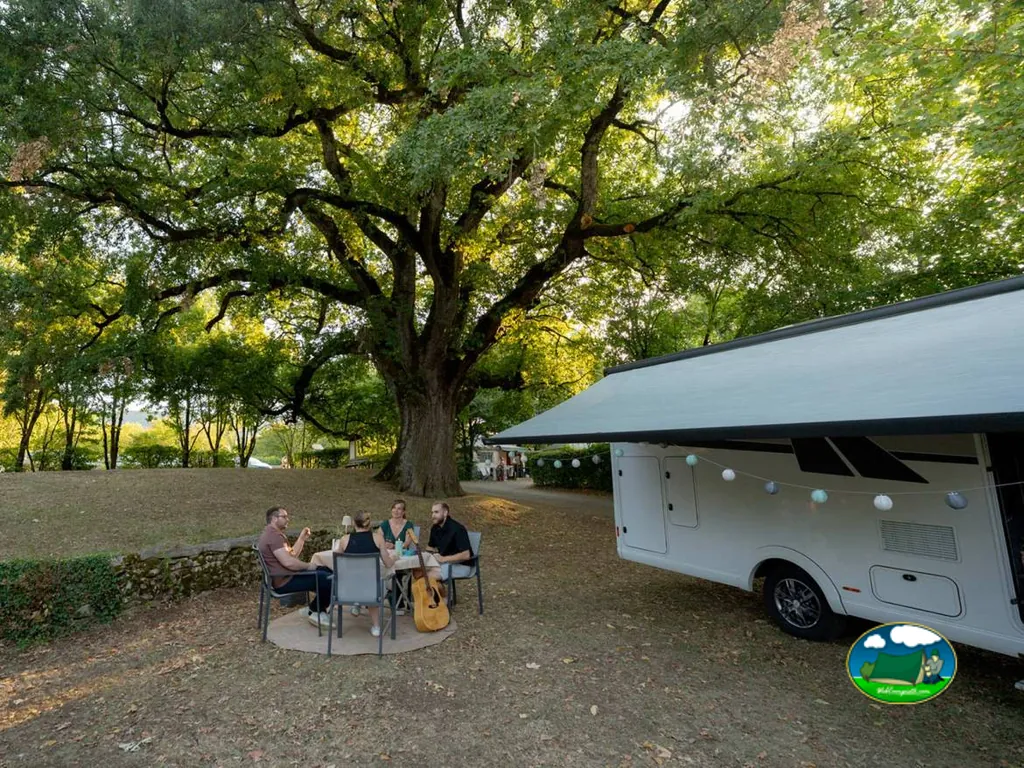 cena bajo árbol junto a autocaravana