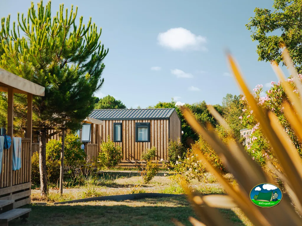 Cabañas modernas entre vegetación
