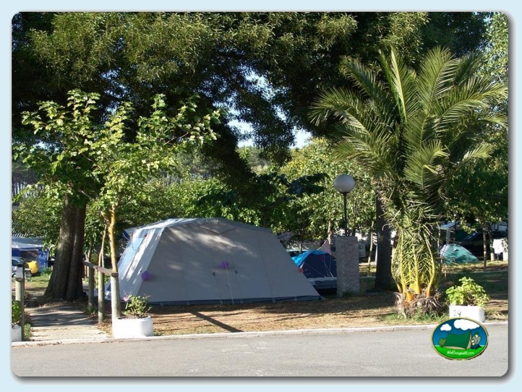 Camping Moreiras