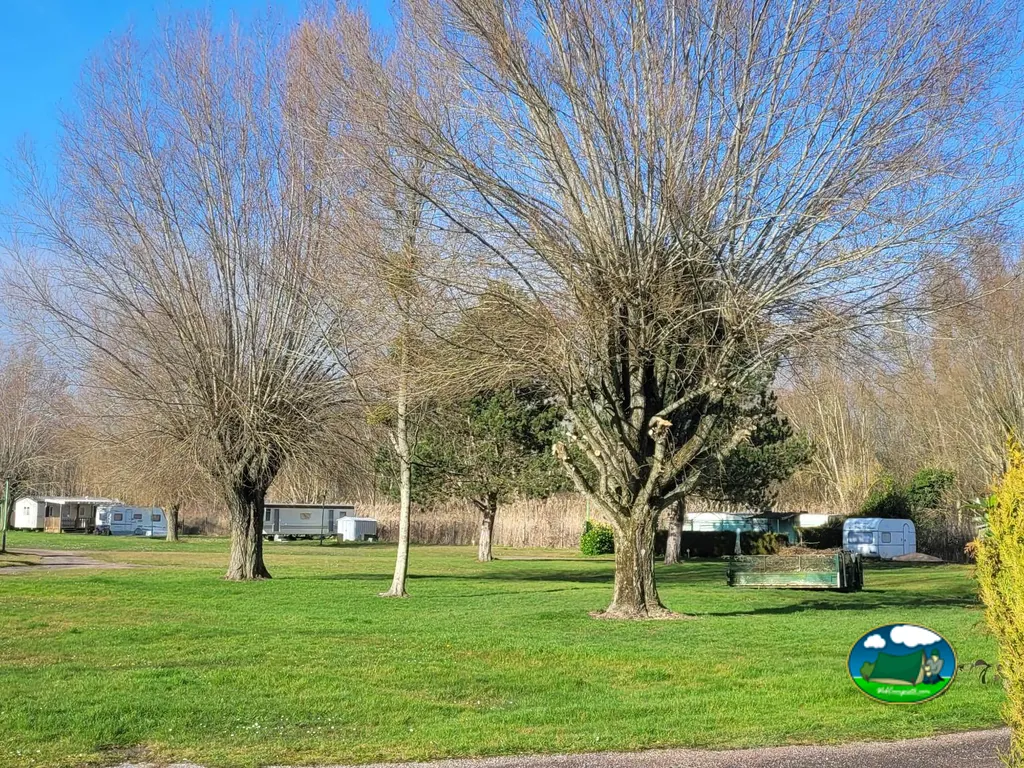 Pradera con árboles y caravanas