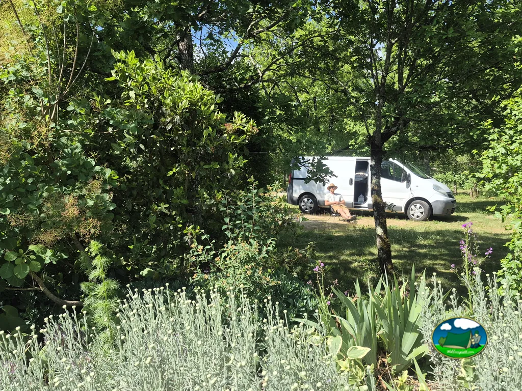 Autocaravana entre plantas y árboles