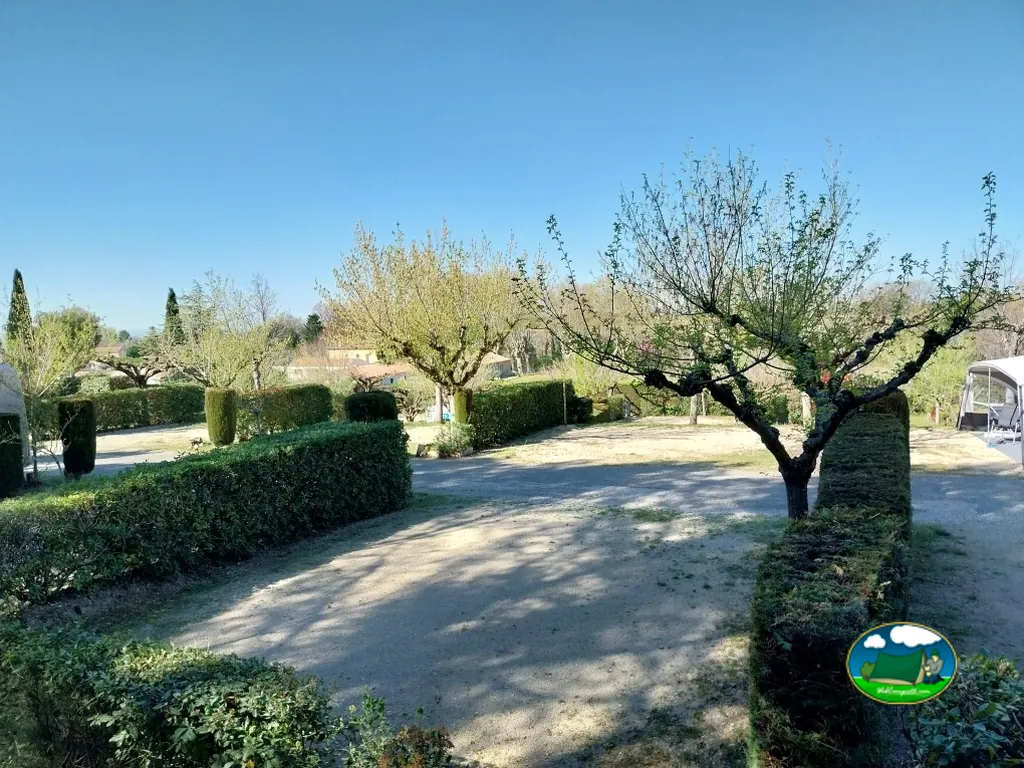 Camino entre setos y olivos