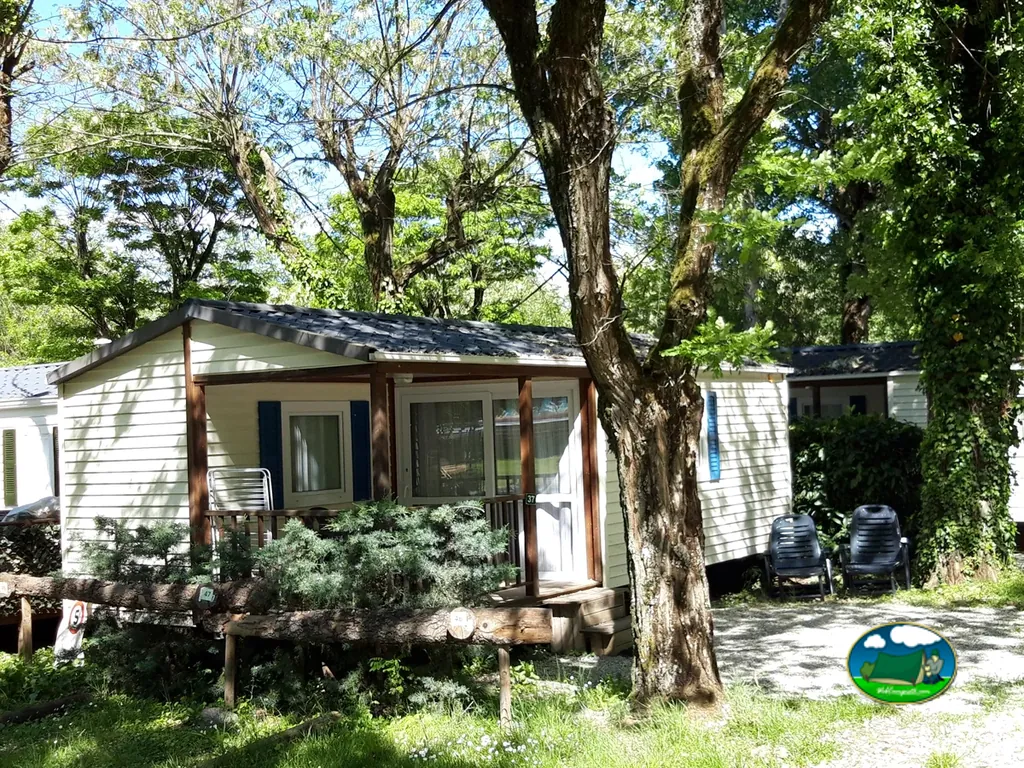 Casa móvil bajo gran árbol