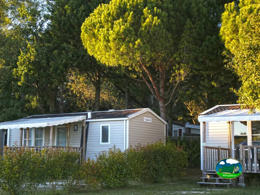 mobil-homes entre pinos dorados