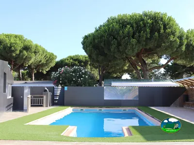 Piscina rectangular entre pinos