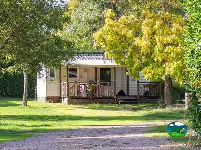 Casa móvil bajo árboles