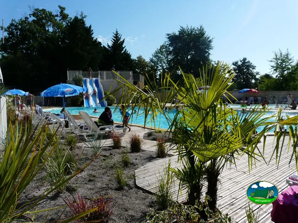Piscina tras vegetación tropical
