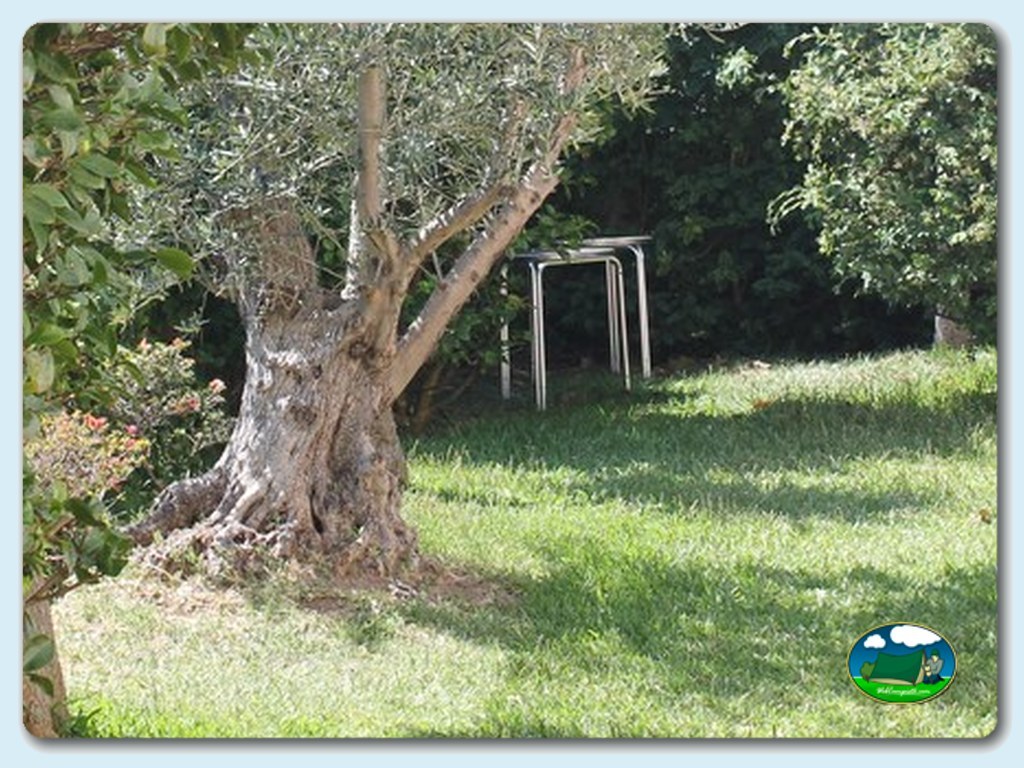 Camping Arco Iris en Vilanova de Arousa, Pontevedra