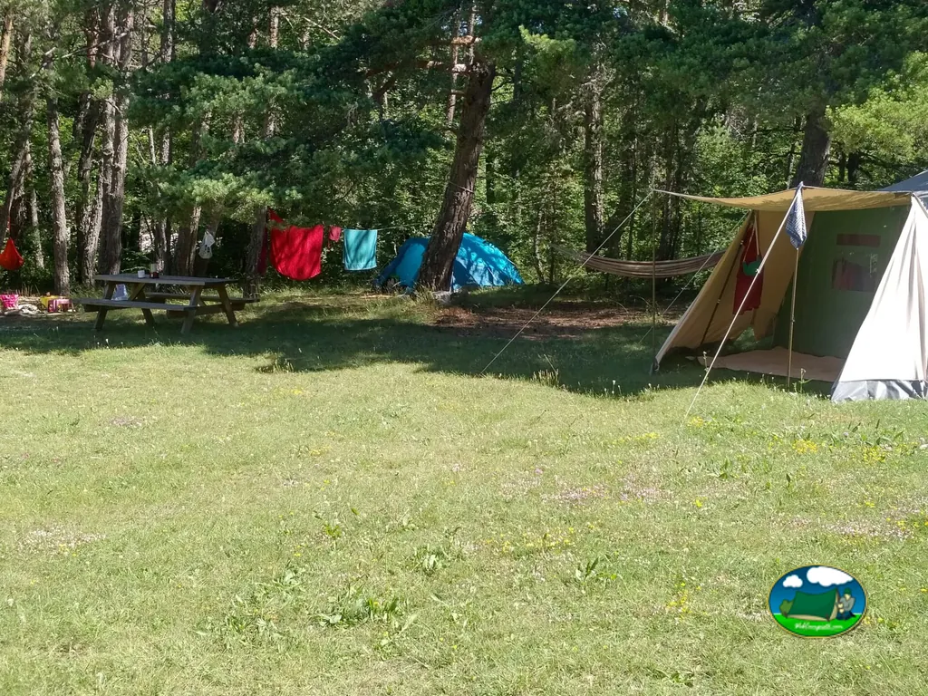 Tiendas sobre pradera sombreada