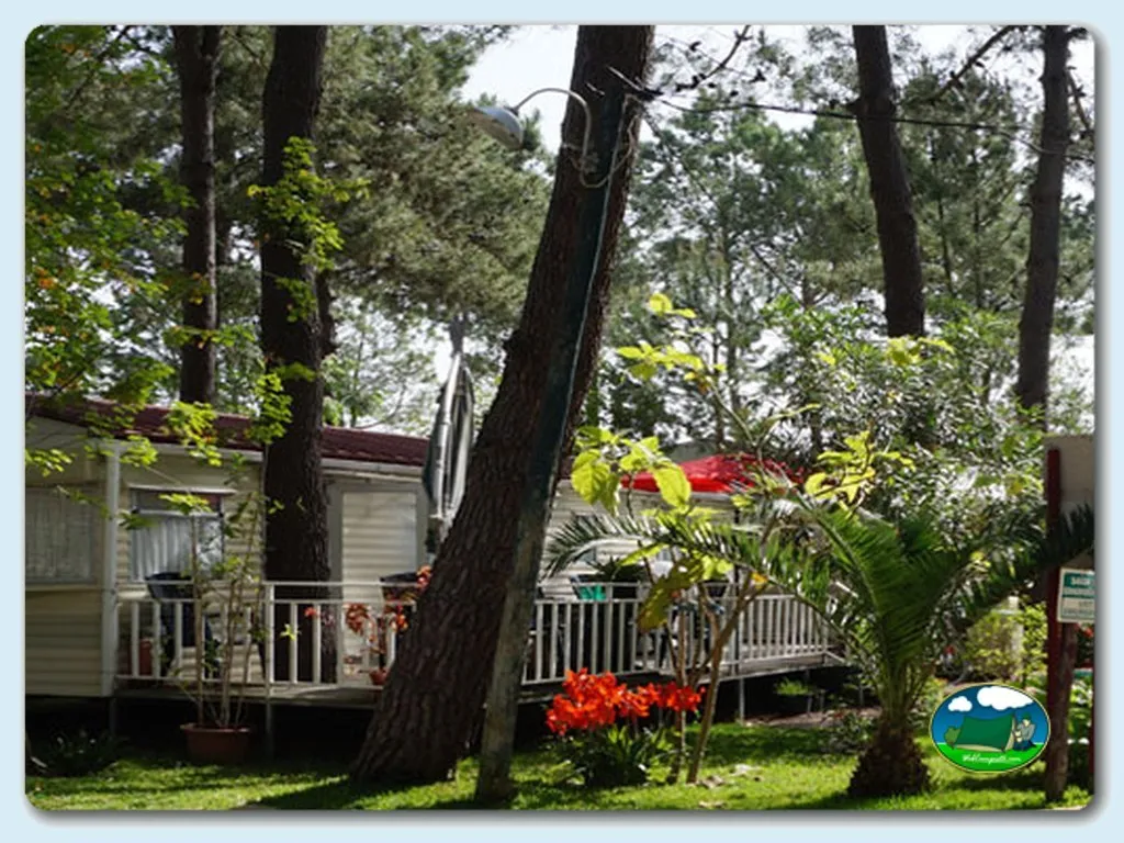 Camping Vasco da Gama en Pinhal Novo - imagen 2