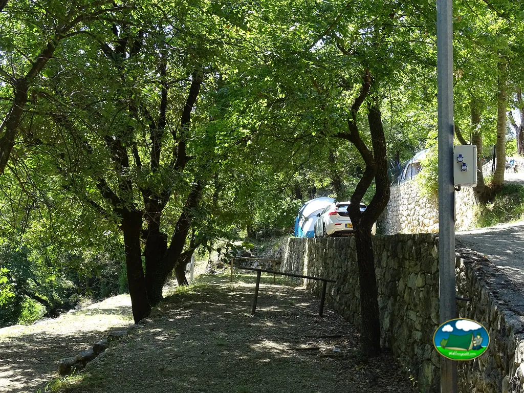 Parcela escalonada bajo árboles