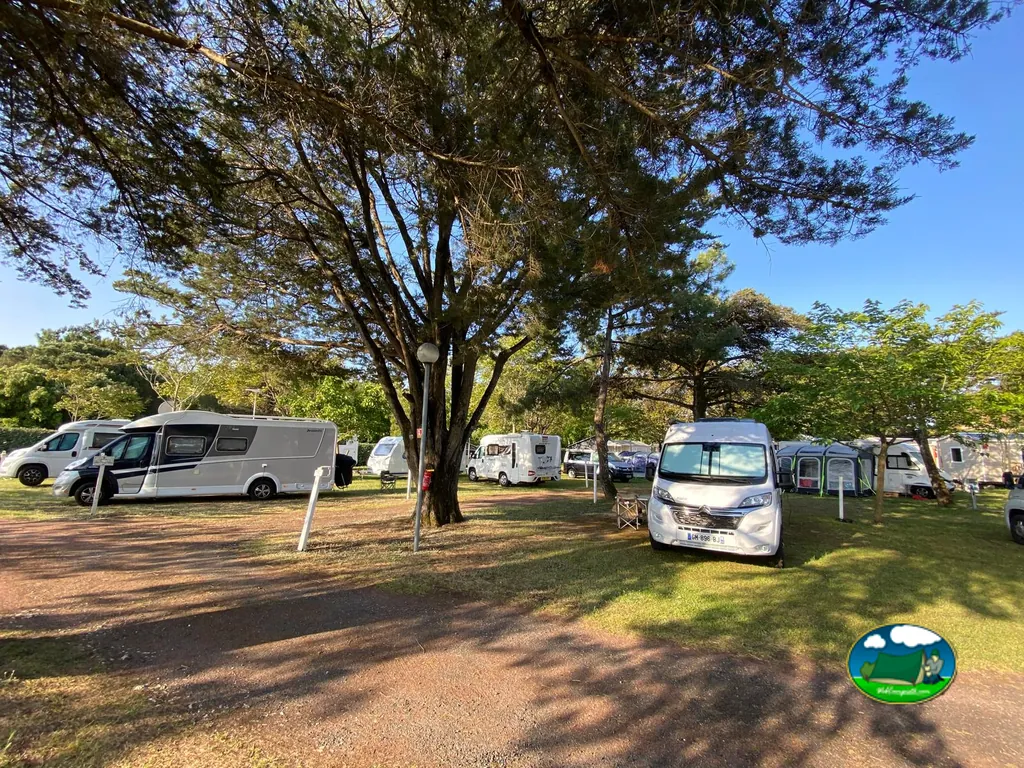 Autocaravanas bajo grandes árboles