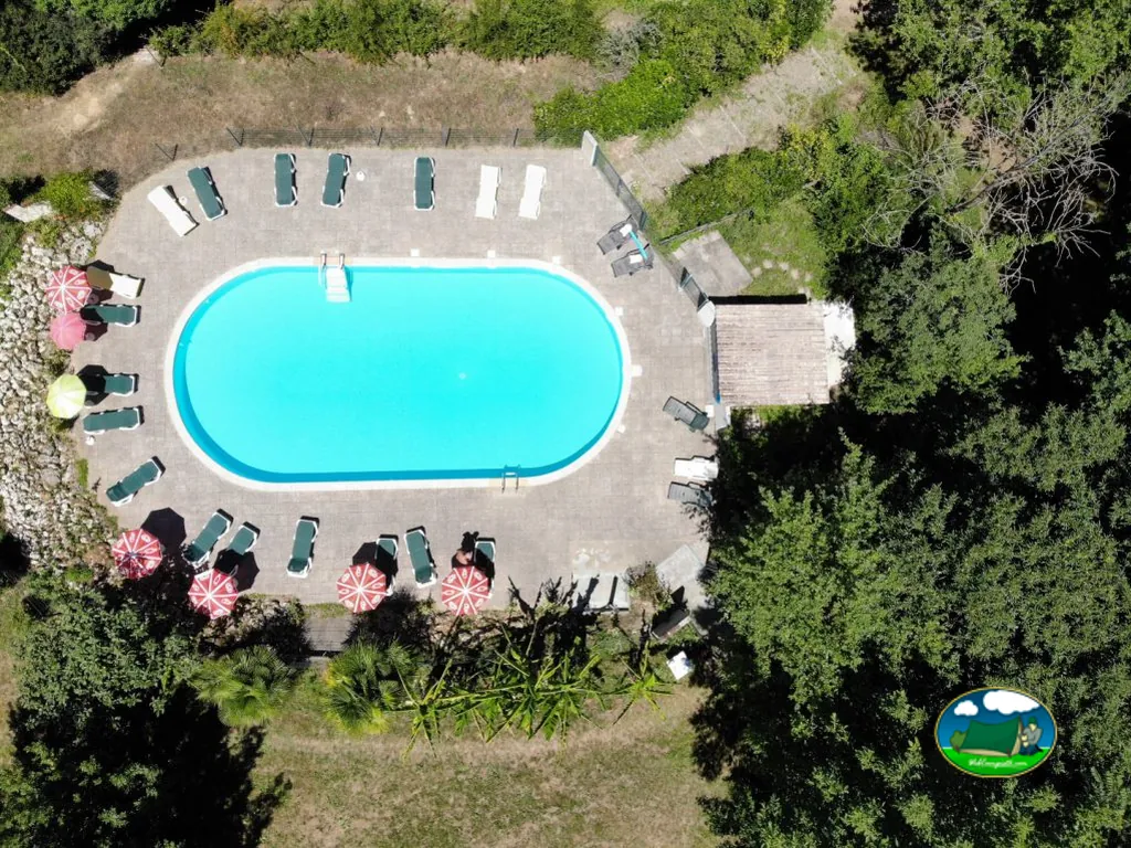 Piscina ovalada vista desde arriba